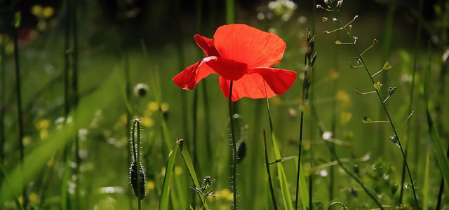 Crotone e Cosenza nella top ten delle città con il clima migliore, ma anche le altre calabresi sono in ottima posizione.