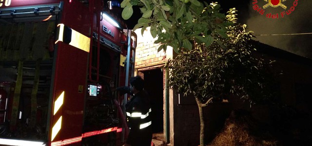 In fiamme capannone, salvati bovini
