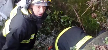 Cuccioli di cane intrappolati in canale raccolta acque meteoriche, salvati dai vigili del fuoco