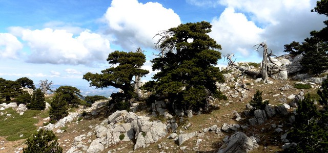 L'ambiente del Pollino tra natura, storia e tradizioni proposto agli insegnanti di tutta Italia