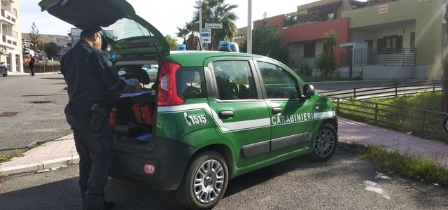 VENDITA DI SACCHETTI DI PLASTICA IRREGOLARI: SEQUESTRATI 30 KG