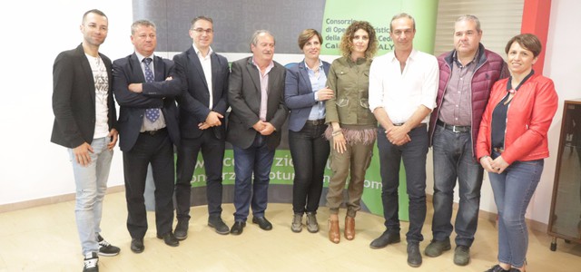 Confronto su Eventi sportivi e turismo culturale: motore del turismo