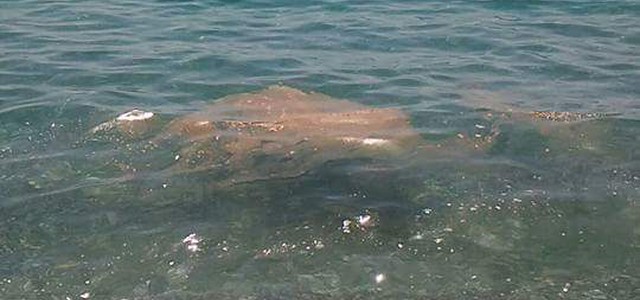 Mare sporco, esposto dell’Amministrazione comunale di Locri