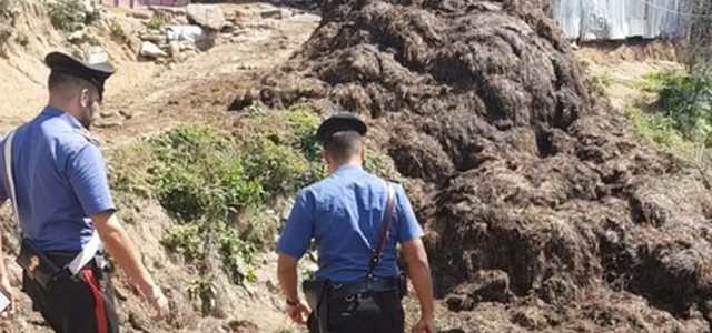 Scarico rifiuti zootecnici, denunciati due fratelli