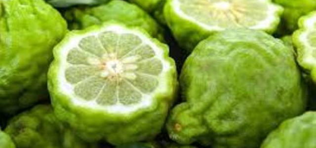 Bergarè 2025 chiude con numeri da record: Reggio Calabria celebra il bergamotto come motore di sviluppo