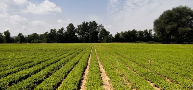 Importante protocollo d'intesa firmato da Confedilizia Catanzaro e Confagricoltura Catanzaro