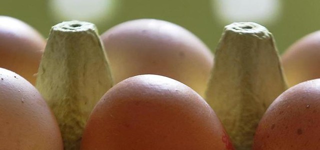Adiconsum: "Uova al Fipronil, in gioco la salute dei cittadini"