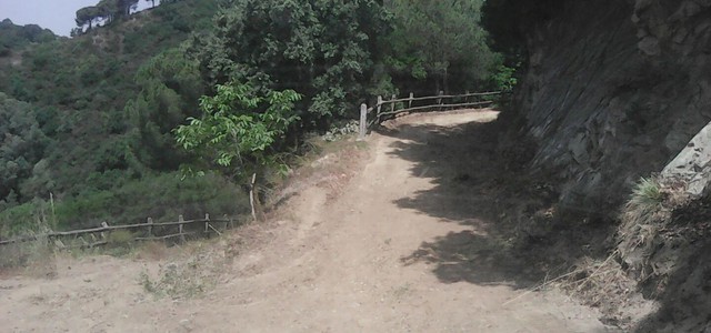In via di completamento bonifica e sistemazione del percorso fitness nel Parco della Biodiversità