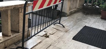Costanzo: uno scempio i luoghi più frequentati della città