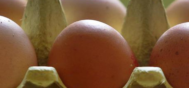 Uova contaminate al Fipronil vendute in Calabria, blocco commercializzazione in Emilia-Romagna