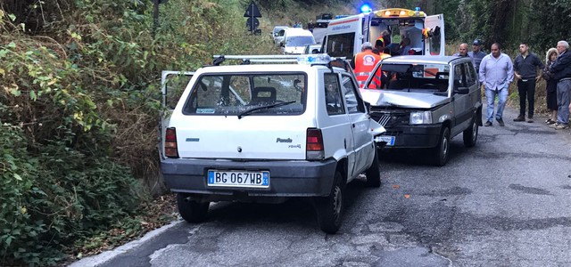 Nuovo incidente per colpa dei cinghiali, Coldiretti: "Agire velocemente"