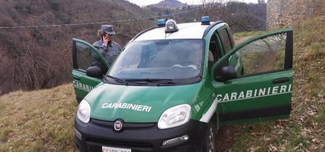 Invadono terreno, denunce per abusivismo