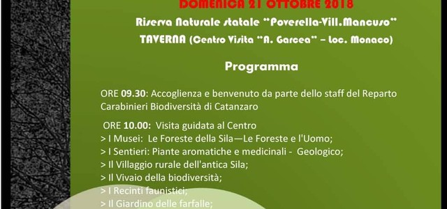 ForestAmica a Villaggio Mancuso