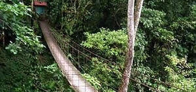 Crolla ponte in Colombia, morti e feriti