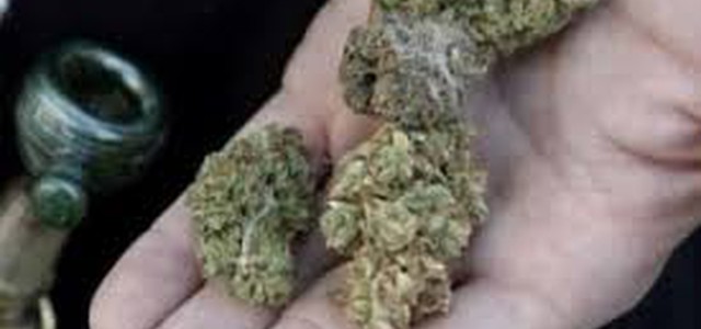 Isola di Capo Rizzuto (KR) – sorpreso mentre cedeva una dose di marijuana.