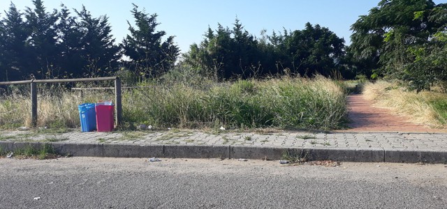 Levato chiede intervento pulizia parco Saul Greco
