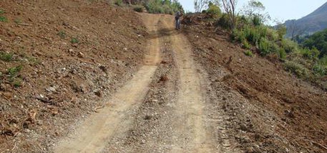 Realizza strada in area bosco vincolata, denunciato