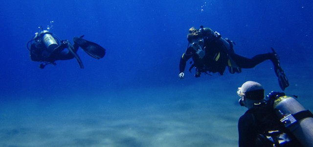 Un tuffo speciale con Lo Squalo