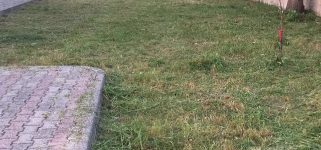 I ragazzi dell’associazione Castace del quartiere Cava si sostituiscono al Comune