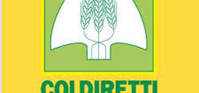 Coldiretti, uliveto Calabria con ottima annata in qualità rischia ko a causa crescita importazioni