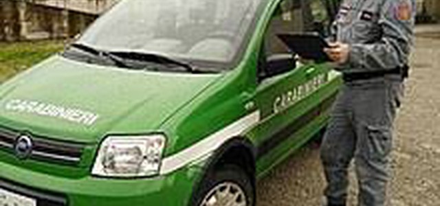 SEQUESTRATA COSTRUZIONE ABUSIVA SU TERRENO AGRICOLO