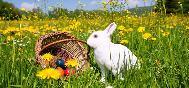Meteo per Pasqua e Pasquetta