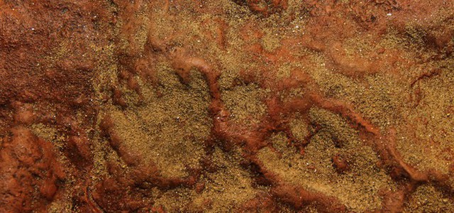 Impronte di dinosauri nel cortile della Nasa
